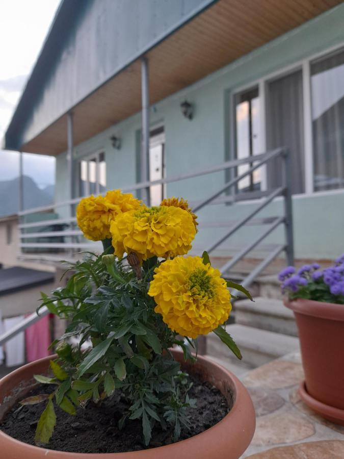 Kera Guest House Kazbegi Eksteriør bilde